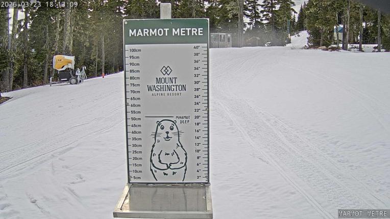 Webcam Mount Washington: Marmot Metre