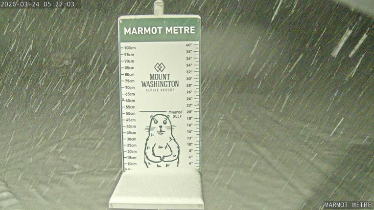 Webcam Mount Washington: Marmot Metre