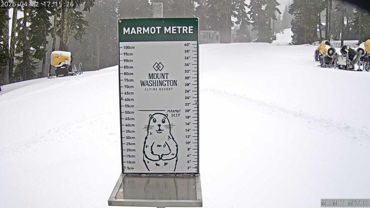 Webcam Mount Washington: Marmot Metre