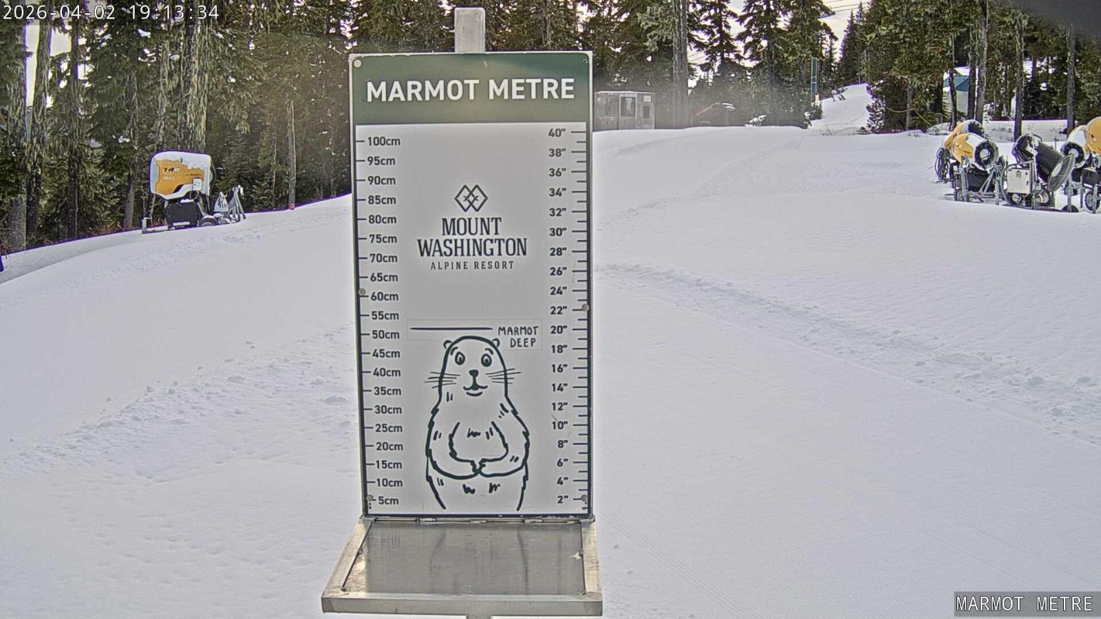 Webcam Mount Washington: Marmot Metre
