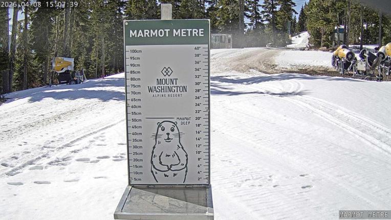 Webcam Mount Washington: Marmot Metre