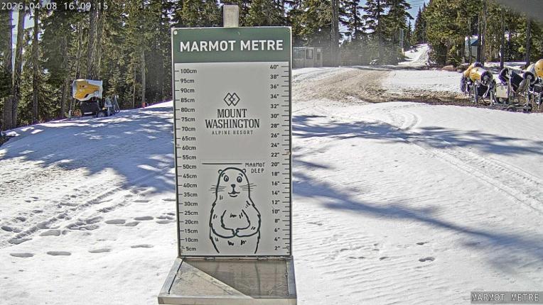 Webcam Mount Washington: Marmot Metre
