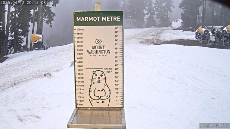 Webcam Mount Washington: Marmot Metre