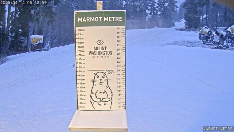 Webcam Mount Washington: Marmot Metre