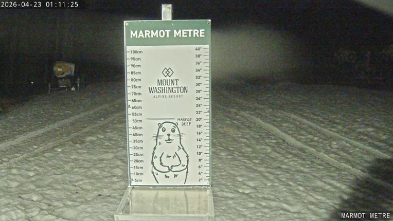 Webcam Mount Washington: Marmot Metre