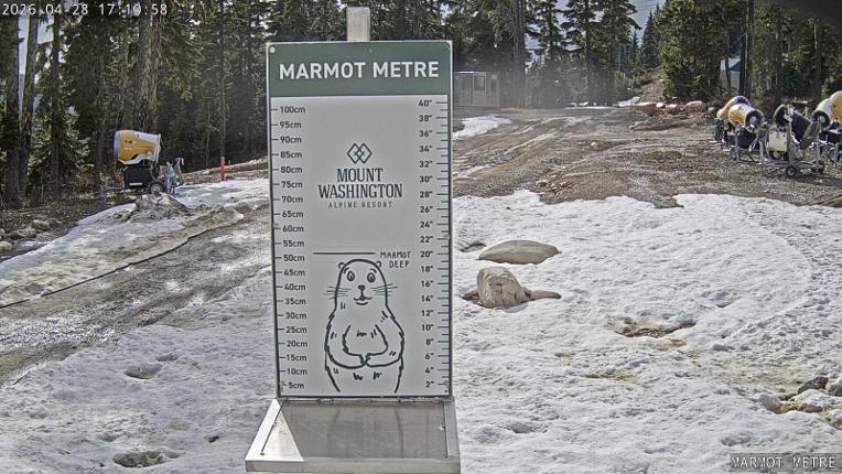 Webcam Mount Washington: Marmot Metre