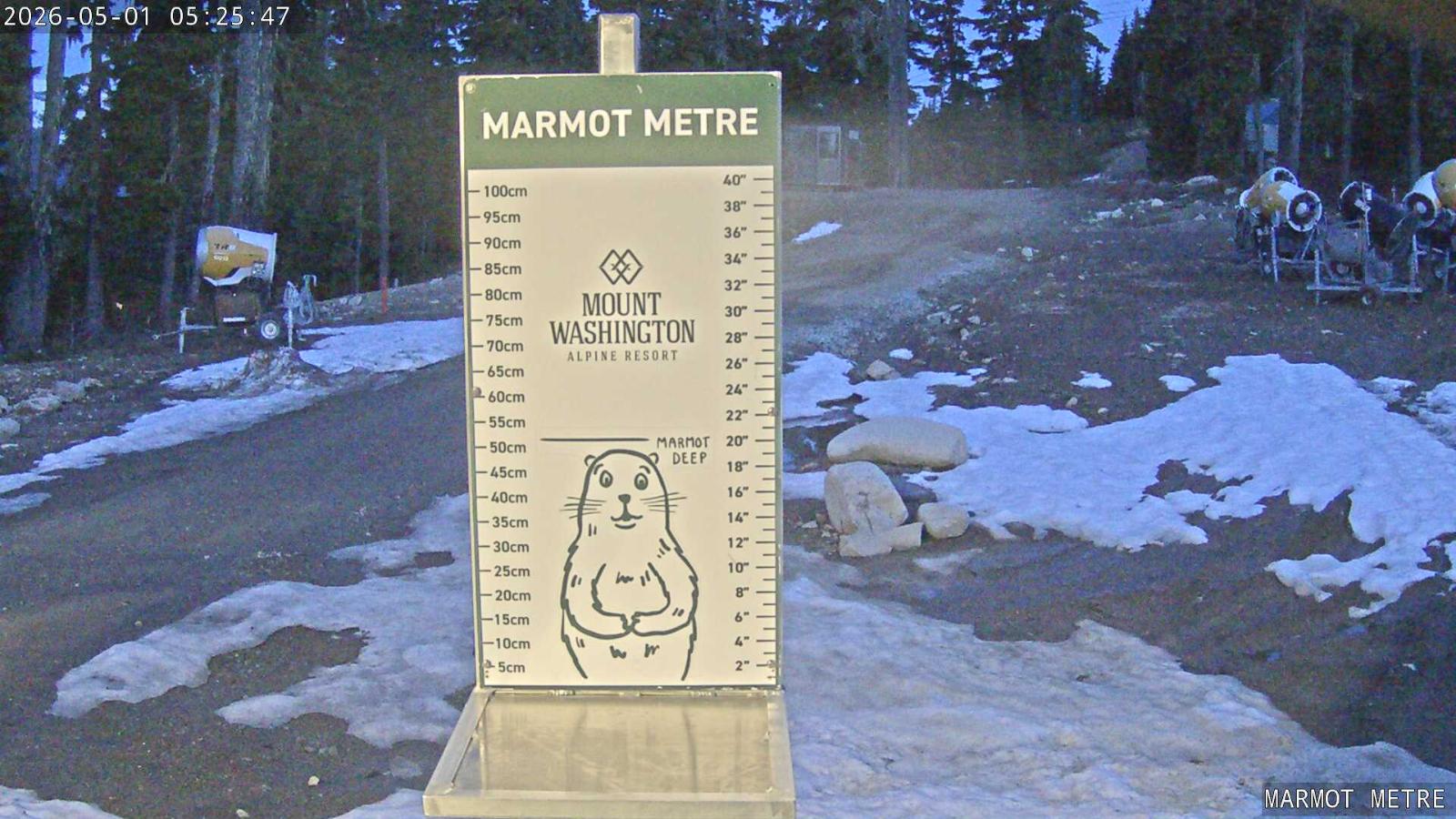 Webcam Mount Washington: Marmot Metre