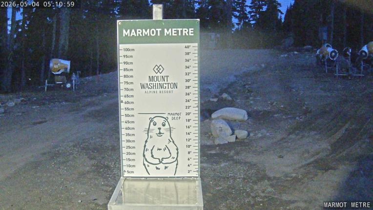 Webcam Mount Washington: Marmot Metre