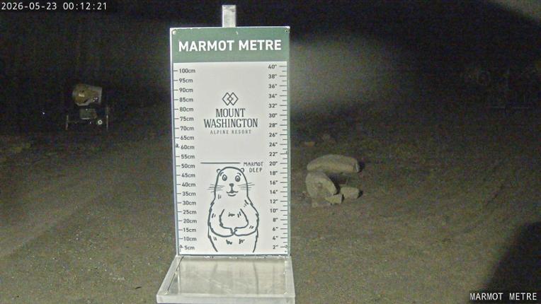 Webcam Mount Washington: Marmot Metre