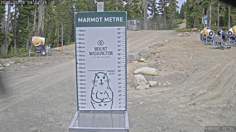 Webcam Mount Washington: Marmot Metre