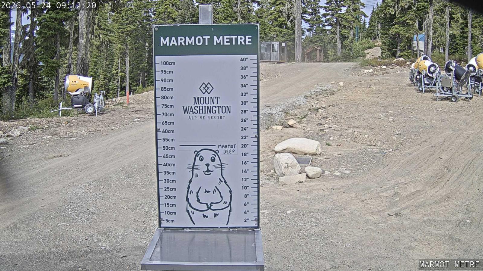 Webcam Mount Washington: Marmot Metre