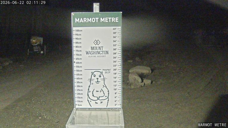 Webcam Mount Washington: Marmot Metre