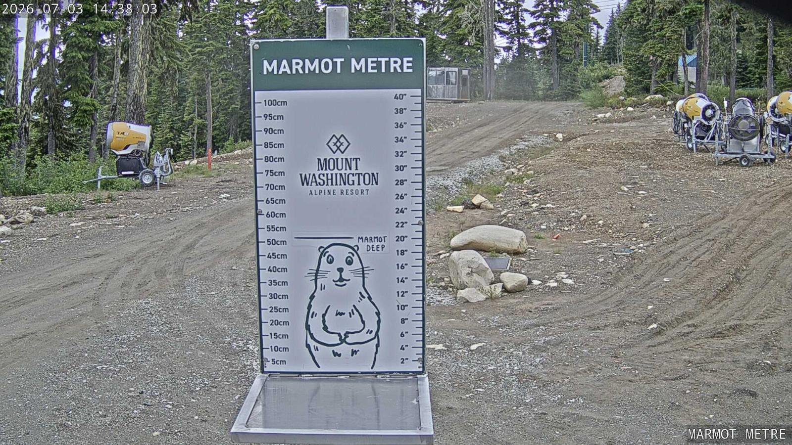 Webcam Mount Washington: Marmot Metre
