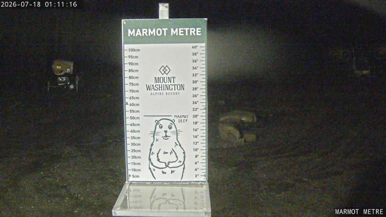 Webcam Mount Washington: Marmot Metre
