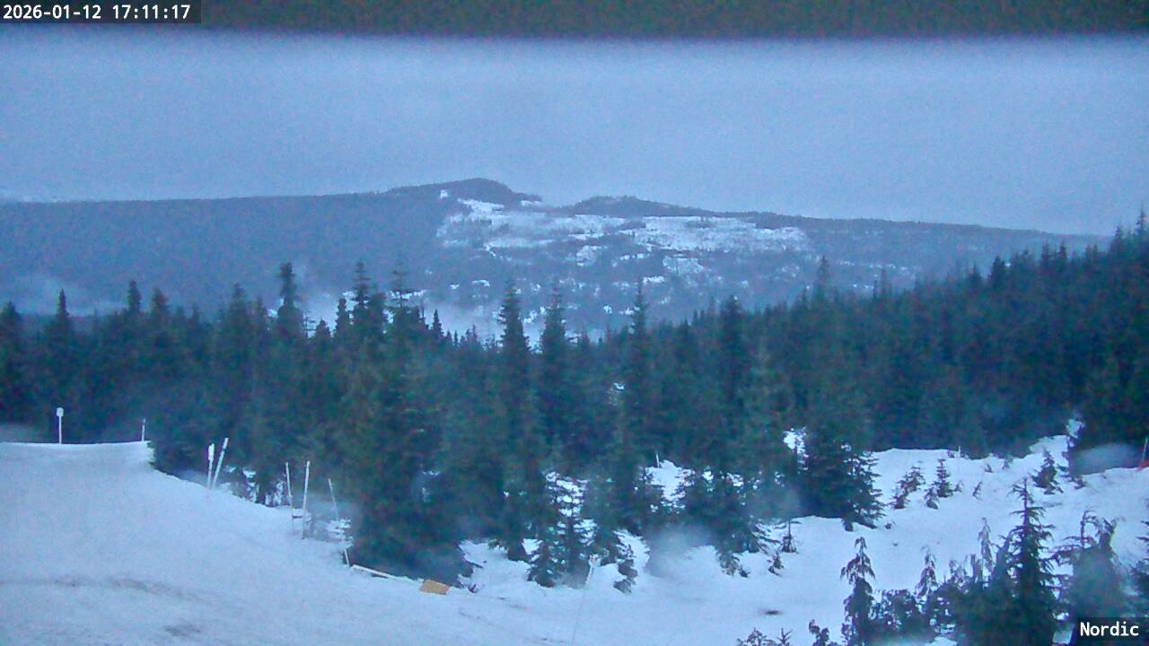 Webcam Mount Washington: Nordic Cam