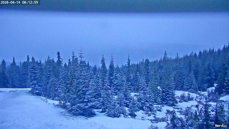 Webcam Mount Washington: Nordic Cam