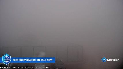 Mt. Buller: Bourke street (mtbuller.com.au)