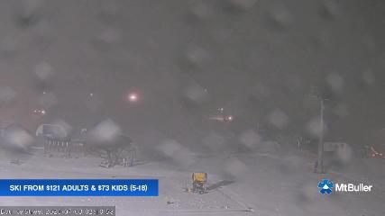 Mt. Buller: Bourke street (mtbuller.com.au)