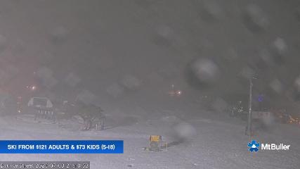 Mt. Buller: Bourke street (mtbuller.com.au)