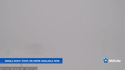 Mt. Buller: Bourke street (mtbuller.com.au)