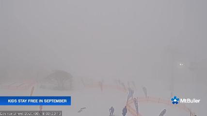 Mt. Buller: Bourke street (mtbuller.com.au)