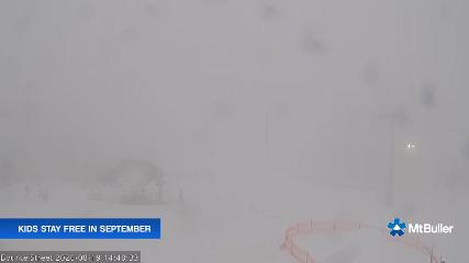 Mt. Buller: Bourke street (mtbuller.com.au)