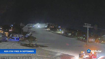 Mt. Buller webcam