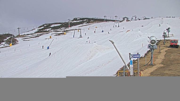 Webcam Mt. Buller: Flip Terrain