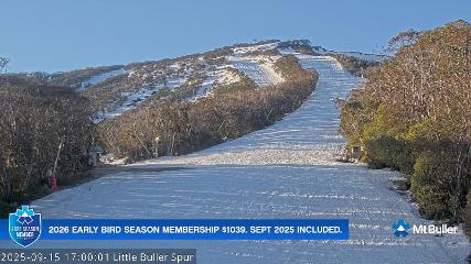 Mt. Buller: Little Buller (mtbuller.com.au)