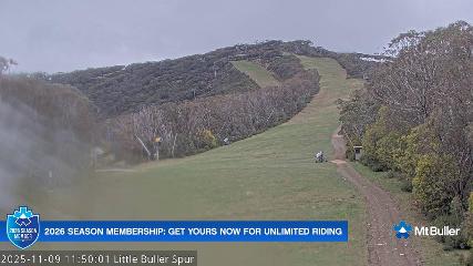 Mt. Buller: Little Buller (mtbuller.com.au)