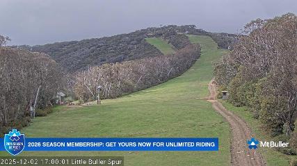 Mt. Buller: Little Buller (mtbuller.com.au)