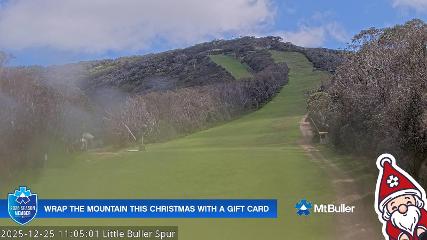 Mt. Buller: Little Buller (mtbuller.com.au)