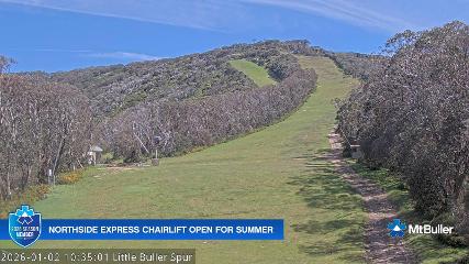 Mt. Buller: Little Buller (mtbuller.com.au)