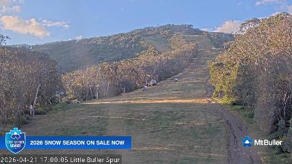Mt. Buller: Little Buller (mtbuller.com.au)