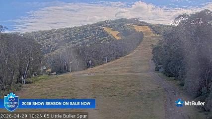 Mt. Buller: Little Buller (mtbuller.com.au)