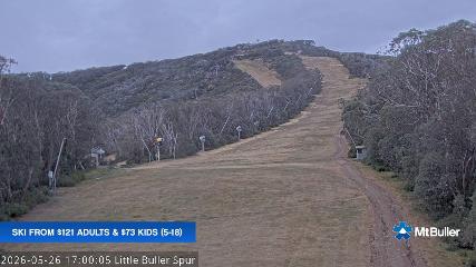 Mt. Buller: Little Buller (mtbuller.com.au)