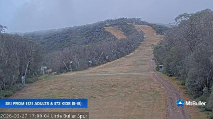Mt. Buller: Little Buller (mtbuller.com.au)