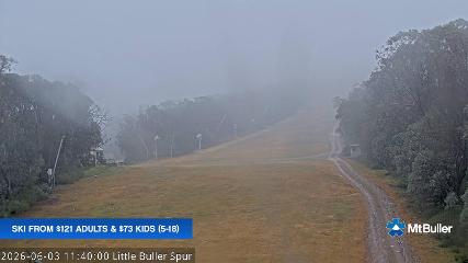 Mt. Buller: Little Buller (mtbuller.com.au)