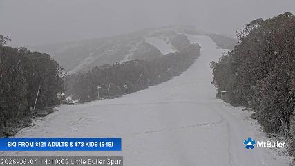 Mt. Buller: Little Buller (mtbuller.com.au)