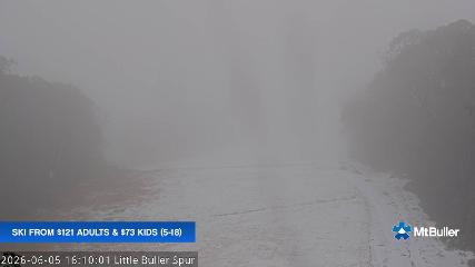 Mt. Buller: Little Buller (mtbuller.com.au)