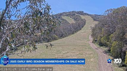 Mt. Buller: Little Buller (mtbuller.com.au)