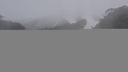 Mt. Buller: Little Buller (mtbuller.com.au)