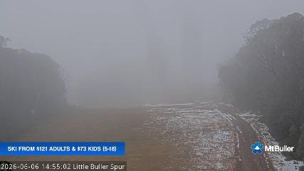 Mt. Buller: Little Buller (mtbuller.com.au)
