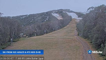 Mt. Buller: Little Buller (mtbuller.com.au)