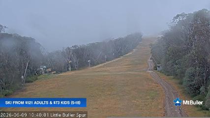 Mt. Buller: Little Buller (mtbuller.com.au)