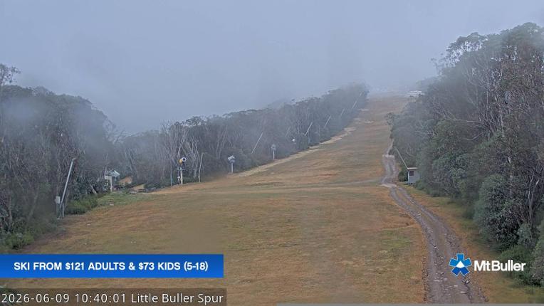 Webcam Mt. Buller: Little Buller