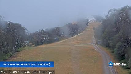 Mt. Buller: Little Buller (mtbuller.com.au)