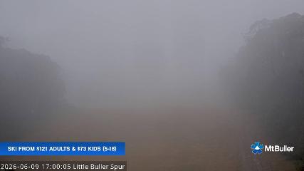 Mt. Buller: Little Buller (mtbuller.com.au)
