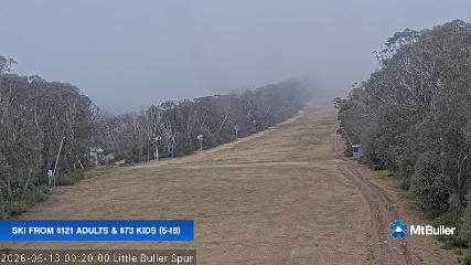 Mt. Buller: Little Buller (mtbuller.com.au)