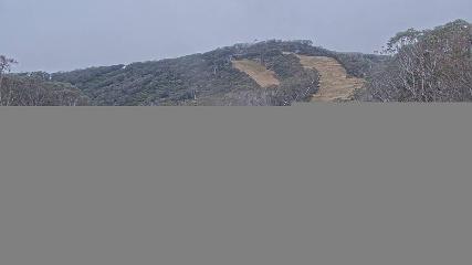 Mt. Buller: Little Buller (mtbuller.com.au)